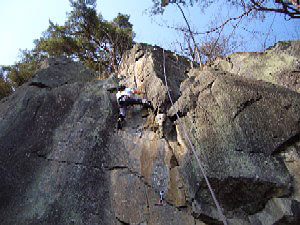 060311_kabutowatobuka.jpg