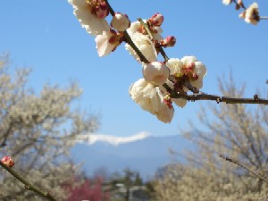 060316_haruephoto.JPG