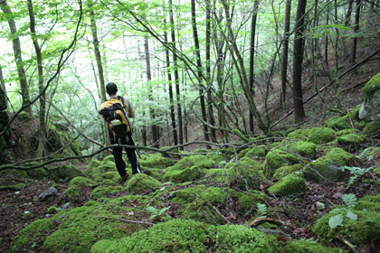 080701_moss.jpg