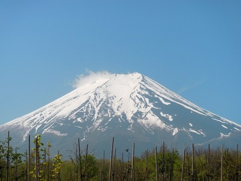 mt.fuji.JPG